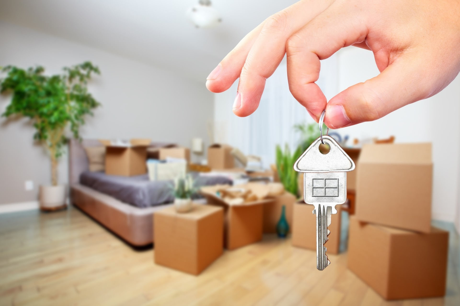 Какие документы нужны арендатору при аренде жилья?